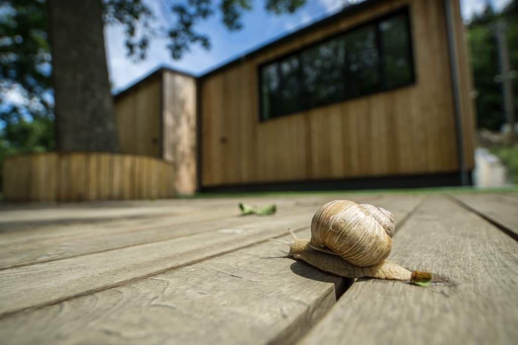 Vila Vivenot Malá Morávka Bagian luar foto